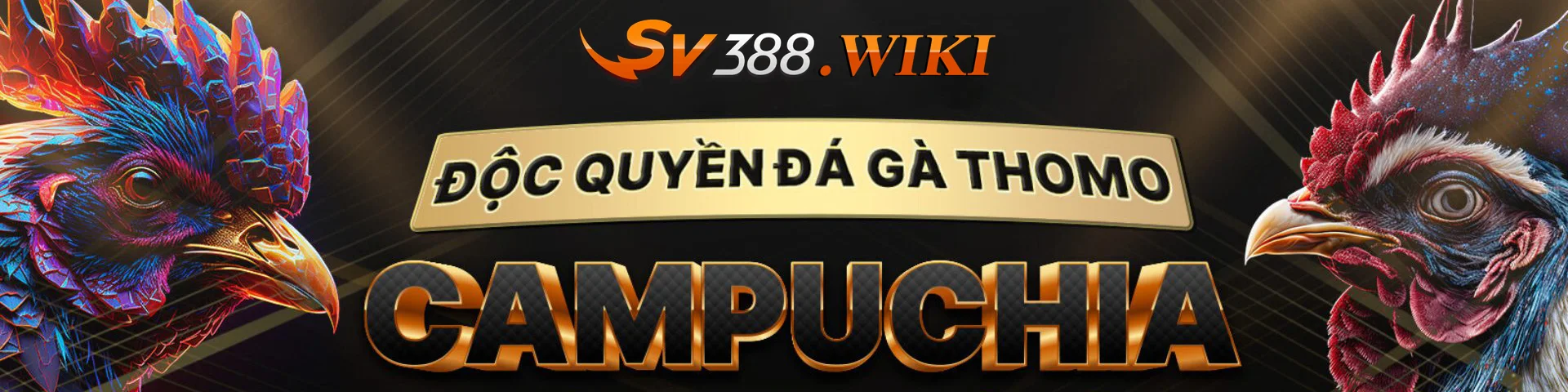 SV388 độc quyền đá gà Thomo Campuchia