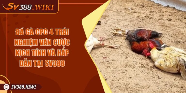 Đá Gà CPC 4 Trải Nghiệm Ván Cược Kịch Tính Và Hấp Dẫn Tại SV388 1 Đá Gà CPC 4 Trải Nghiệm Ván Cược Kịch Tính Và Hấp Dẫn Tại SV388
