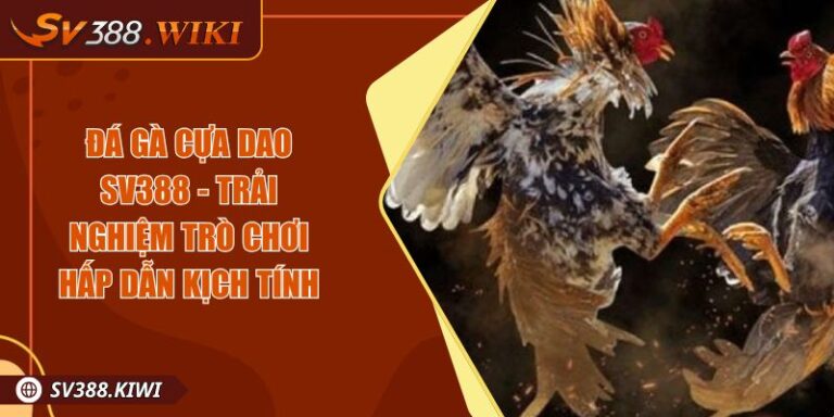 Đá Gà Cựa Dao SV388 - Trải Nghiệm Trò Chơi Hấp Dẫn Kịch Tính 6 Đá Gà Cựa Dao SV388 - Trải Nghiệm Trò Chơi Hấp Dẫn Kịch Tính