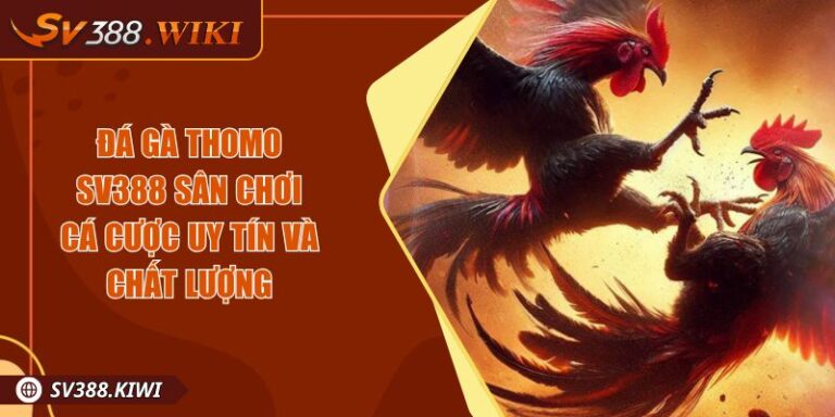 Đá gà Thomo SV388 Sân chơi cá cược uy tín và chất lượng 8 Đá gà Thomo SV388 Sân chơi cá cược uy tín và chất lượng