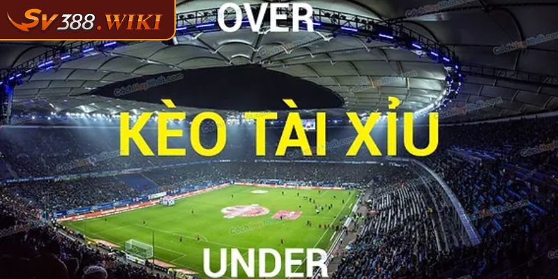 Khái quát thông tin về kèo tài xỉu 1 trái SV388