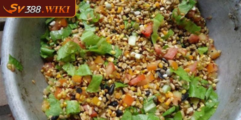 Vảy Gà Kích Giáp - Cách Chọn Và Chăm Sóc Chiến Kê Đúng Cách 2 Cung cấp đầy đủ thức ăn cho chiến kê đúng lượng và hợp lý