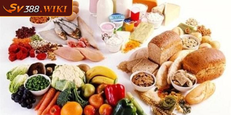 Vảy Hổ Khẩu Bí Quyết Giúp Gà Chọi Hồi Phục Nhanh Và Mạnh Mẽ 2 Chế độ dinh dưỡng hợp lý