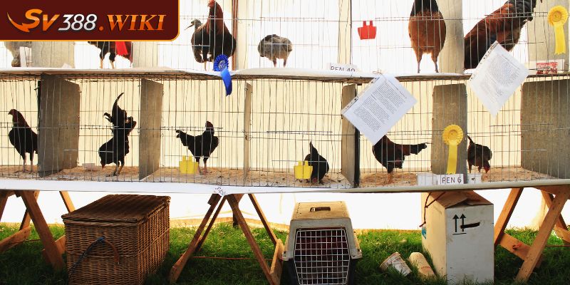 Chuồng trại phù hợp