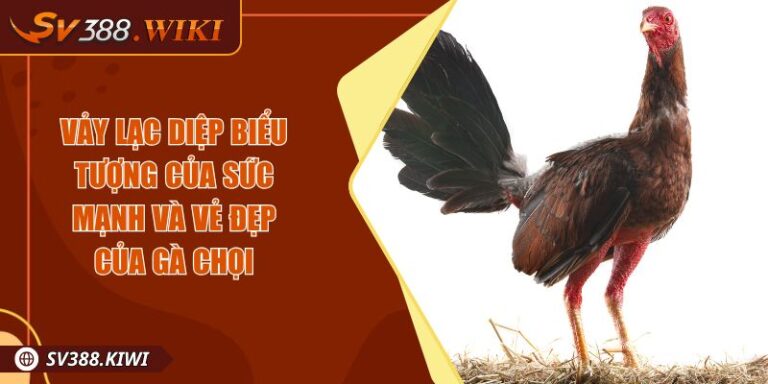 Vảy Lạc Diệp Biểu Tượng Của Sức Mạnh Và Vẻ Đẹp Của Gà Chọi 8 Vảy Lạc Diệp Biểu Tượng Của Sức Mạnh Và Vẻ Đẹp Của Gà Chọi