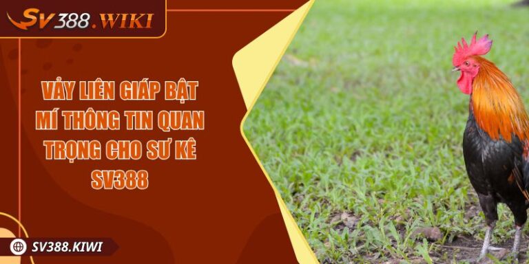 Vảy Liên Giáp Bật Mí Thông Tin Quan Trọng Cho Sư Kê SV388