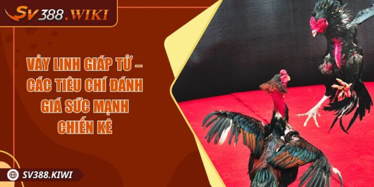 Vảy Linh Giáp Tử – Các Tiêu Chí Đánh Giá Sức Mạnh Chiến Kê