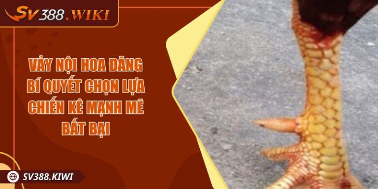 Vảy Nội Hoa Đăng Bí Quyết Chọn Lựa Chiến Kê Mạnh Mẽ Bất Bại 9 Vảy Nội Hoa Đăng Bí Quyết Chọn Lựa Chiến Kê Mạnh Mẽ Bất Bại