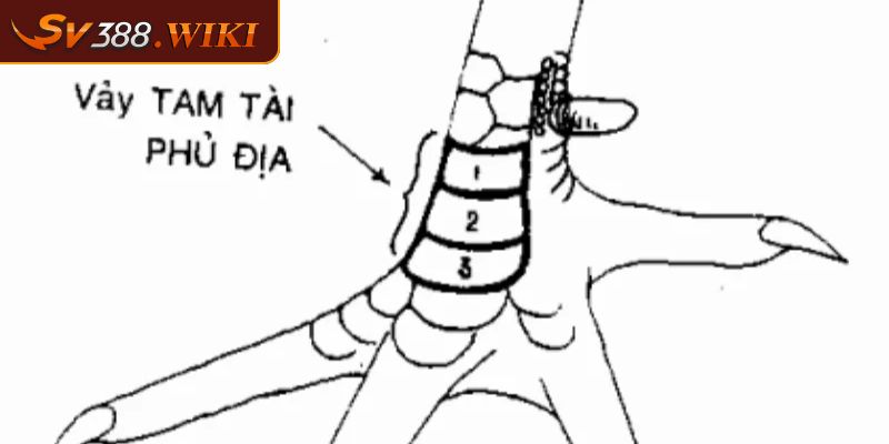 Kiểm tra độ dày và độ bóng