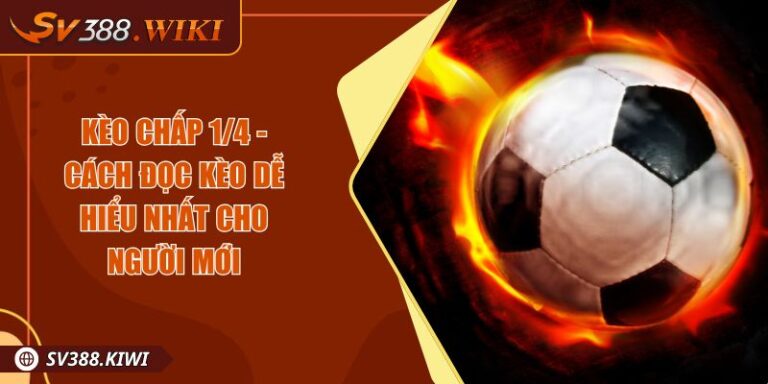 Kèo Chấp 1/4 - Cách Đọc Kèo Dễ Hiểu Nhất Cho Người Mới 7 Kèo Chấp 1/4 - Cách Đọc Kèo Dễ Hiểu Nhất Cho Người Mới