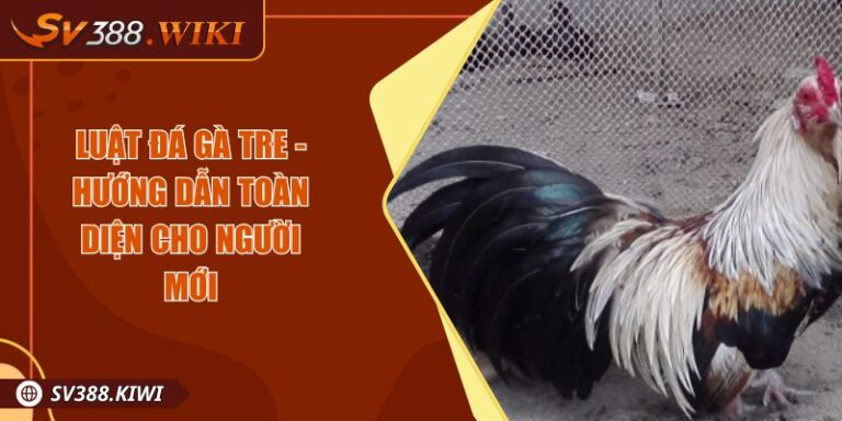 Luật đá gà tre - Hướng Dẫn Toàn Diện Cho Người Mới 6 Luật đá gà tre - Hướng Dẫn Toàn Diện Cho Người Mới